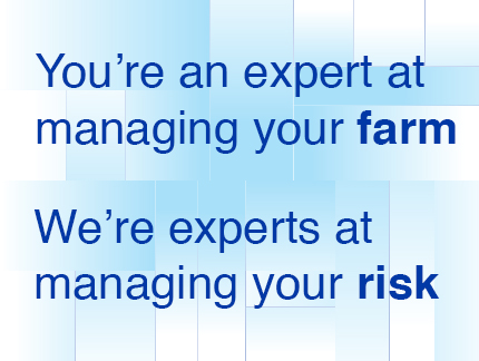 ZFS experts managing risk
