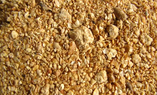 Soybean Meal